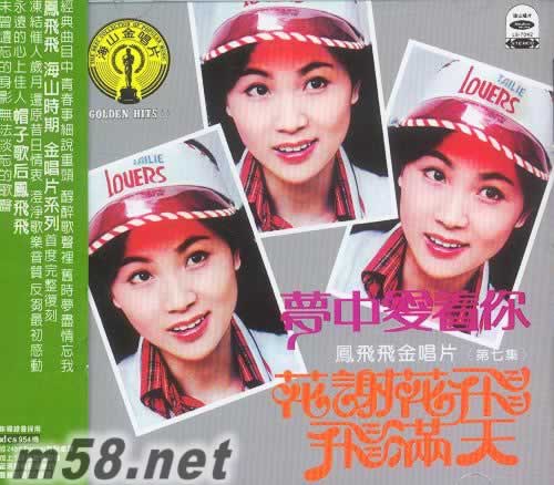 鳳飛飛金唱片 第七集專輯正面圖片