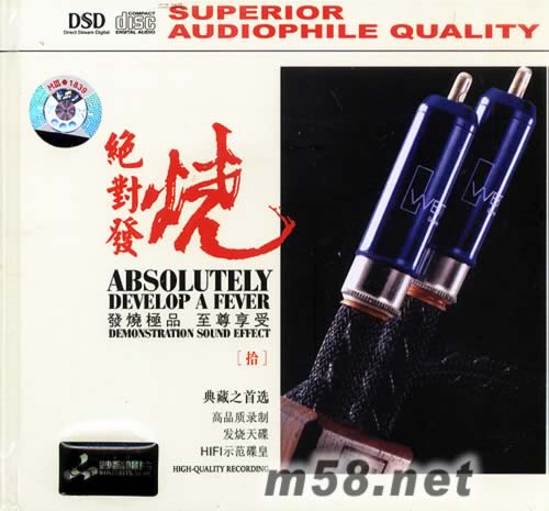 絕對發燒 拾專輯正面圖片