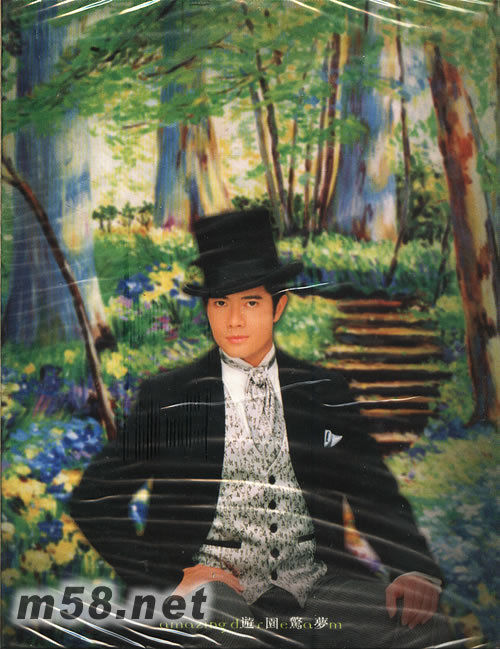 游園驚夢 大盒版專輯正面圖片