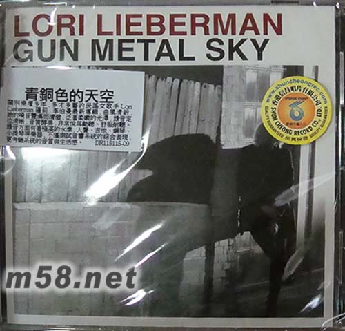 gun matal sky 青銅色的天空專輯正面圖片