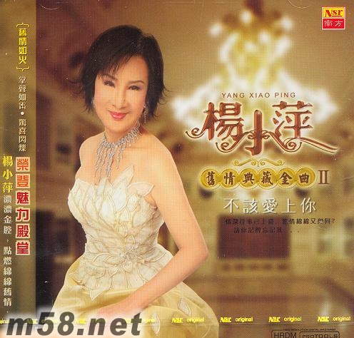 不該愛上你 舊情典藏金曲 II專輯正面圖片