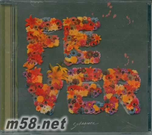 夏 狂熱專輯正面圖片