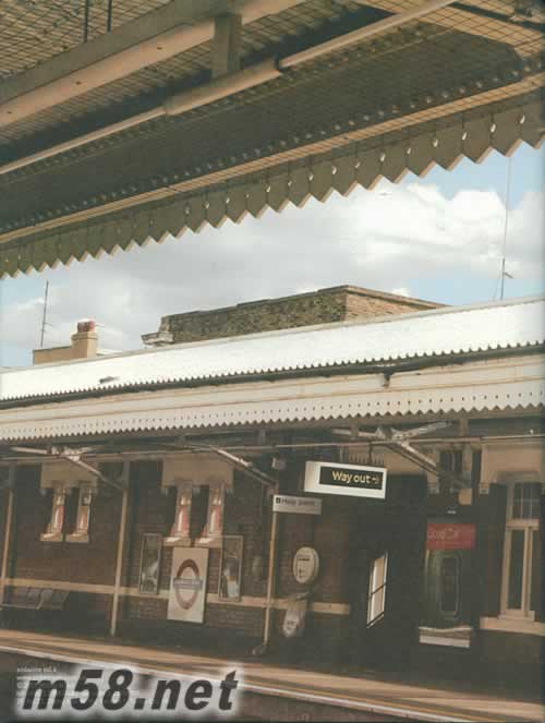 夏 狂熱贈品書背面圖片