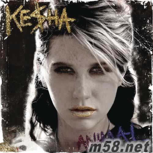 Animal 派對動物專輯正面圖片