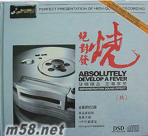 絕對發(fā)燒 玖9專輯正面圖片
