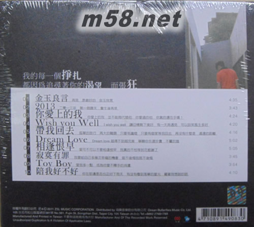 你愛上的…專輯背面圖片