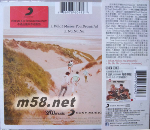 What Makes You Beautiful你如此美麗 (臺壓單曲)專輯背面圖片