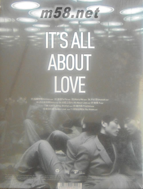 以愛之名(正式版)專輯背面圖片