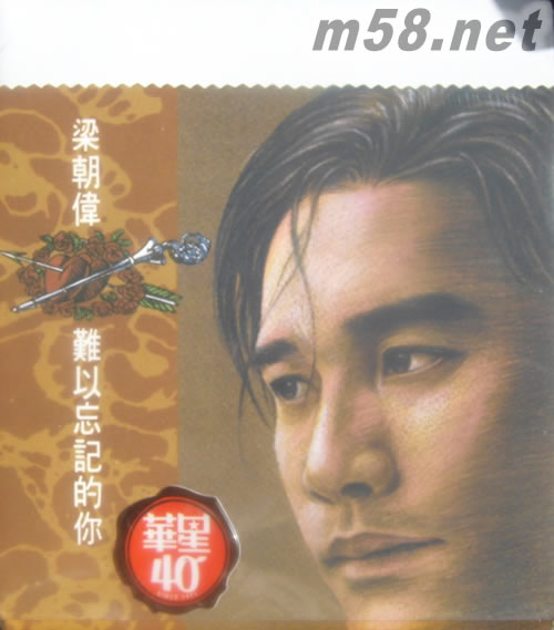 難以忘記的你 (金碟) (華星40經典金唱片)專輯正面圖片