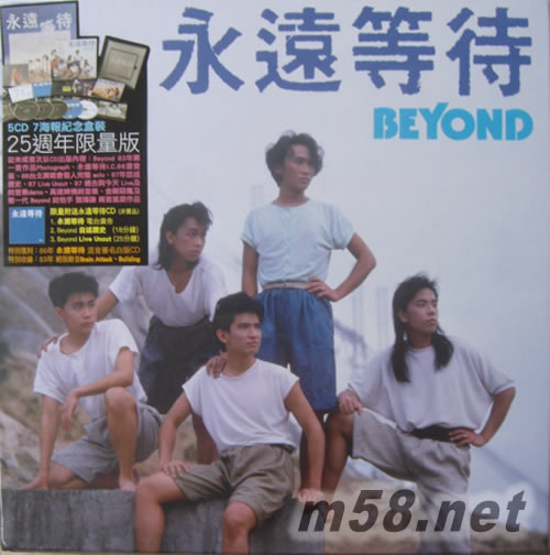 永遠(yuǎn)等待 25周年限量版 紀(jì)念盒裝專輯正面圖片