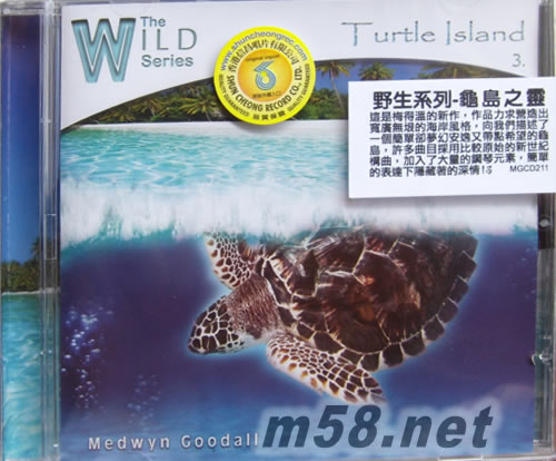 Turtle Island 龜島之靈 新世紀純音樂專輯正面圖片