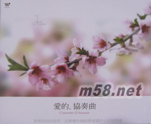 白日夢 5 - 愛的協(xié)奏曲專輯正面圖片