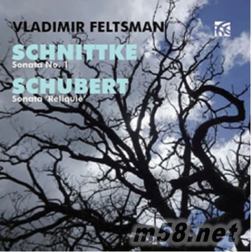 費茲曼 施尼特凱、舒伯特的奏鳴曲選 Schnittke Sonata No.1 and Schubert Sonata Reliquie專輯正面圖片