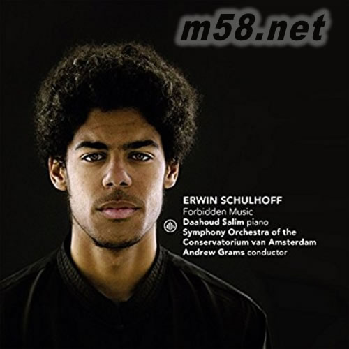 Erwin Schulhoff: Forbidden Music 舒爾霍夫鋼琴作品 - Daahoud Salim專輯正面圖片