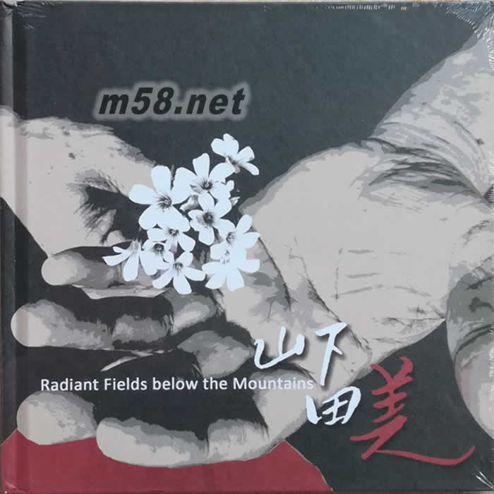 山下田美專輯正面圖片