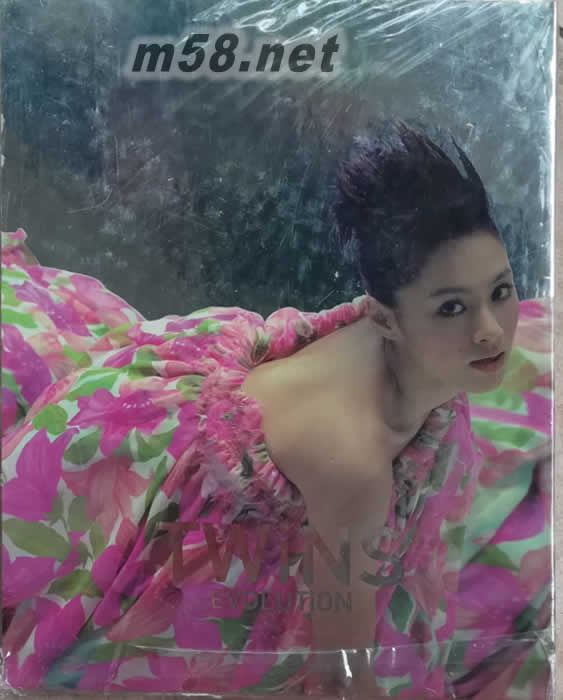 EVOLUTION(首批亮銀雙封面特別版)專輯背面圖片