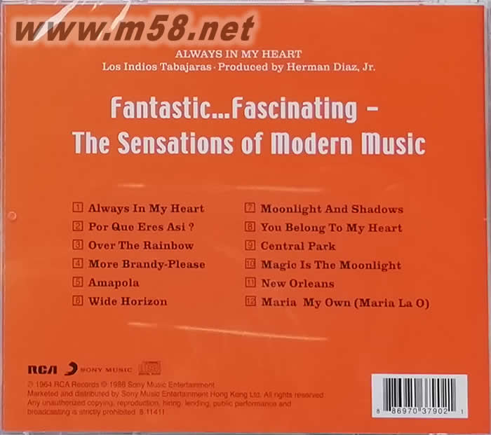 ALWAYS IN MY HEART紅番吉它(常駐我心)專輯背面圖片