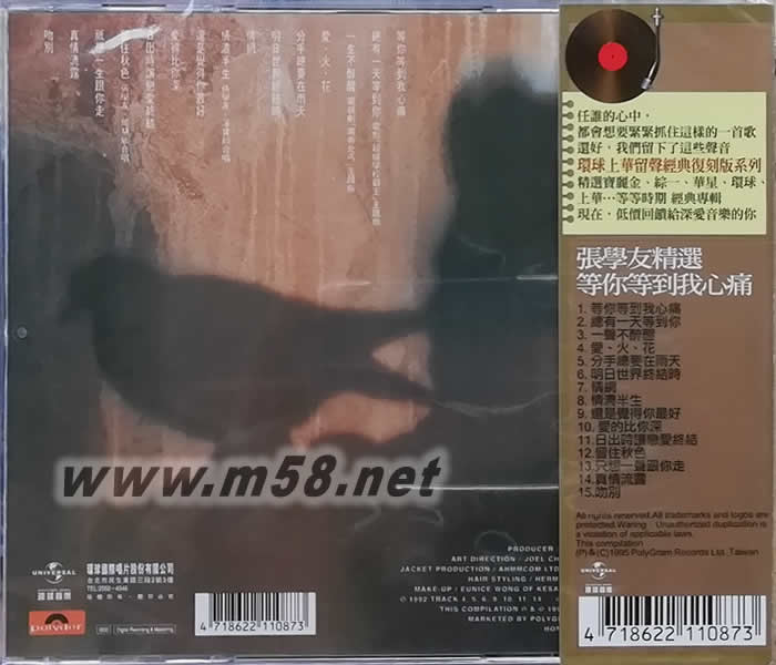等你等到我心痛(留聲經(jīng)典復(fù)刻系列)專輯背面圖片