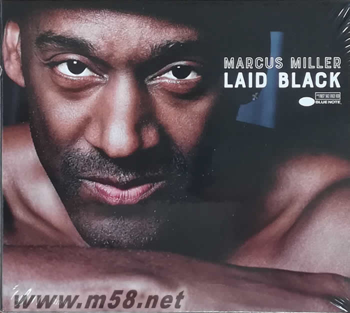 Laid Back(低音結(jié)他大師)專輯正面圖片