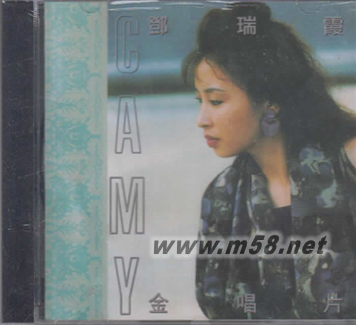 金唱片專輯正面圖片