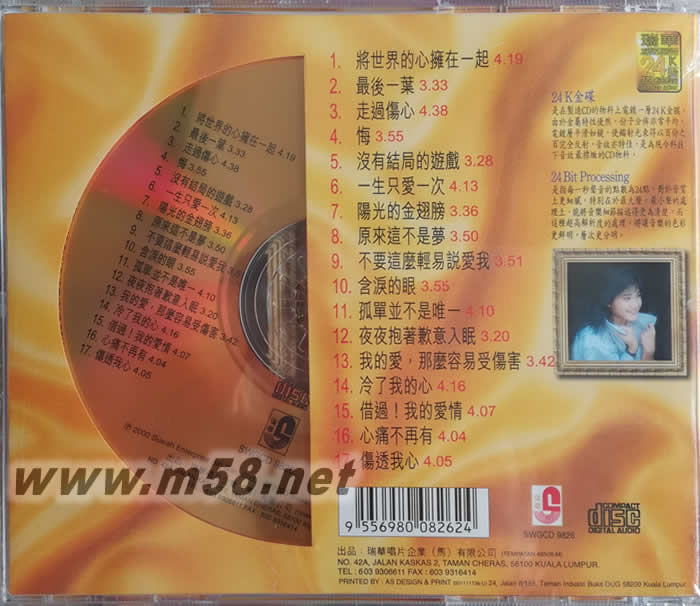 惟美金曲專輯背面圖片