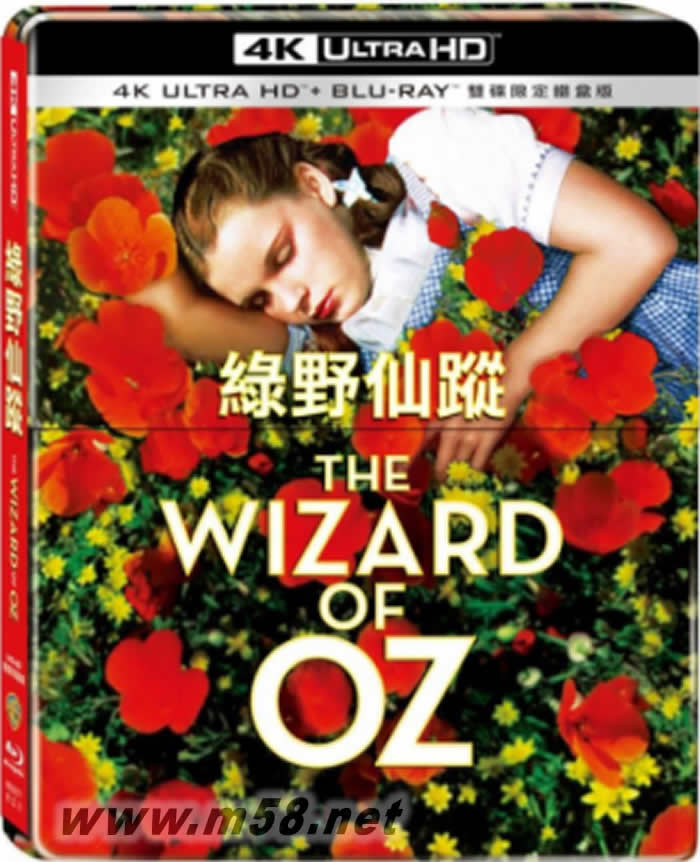 The Wizard Of Oz UHD+BD 2 Disc Steelbook綠野仙蹤 UHD+BD 雙碟限定鐵盒版 BLURAY系統(tǒng)專輯正面圖片
