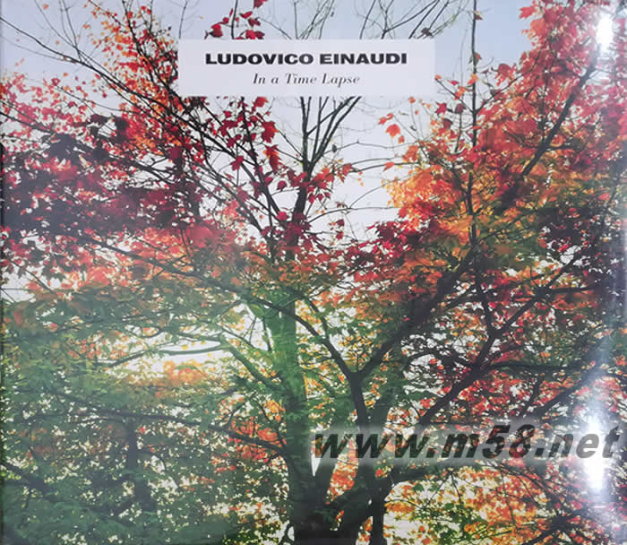 In a Time Lapse 雙黑膠專輯正面圖片