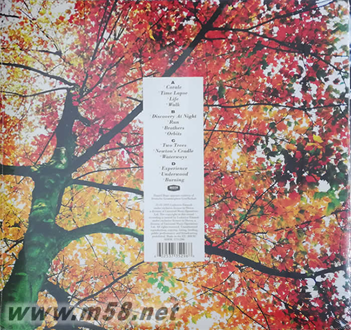 In a Time Lapse 雙黑膠專輯背面圖片