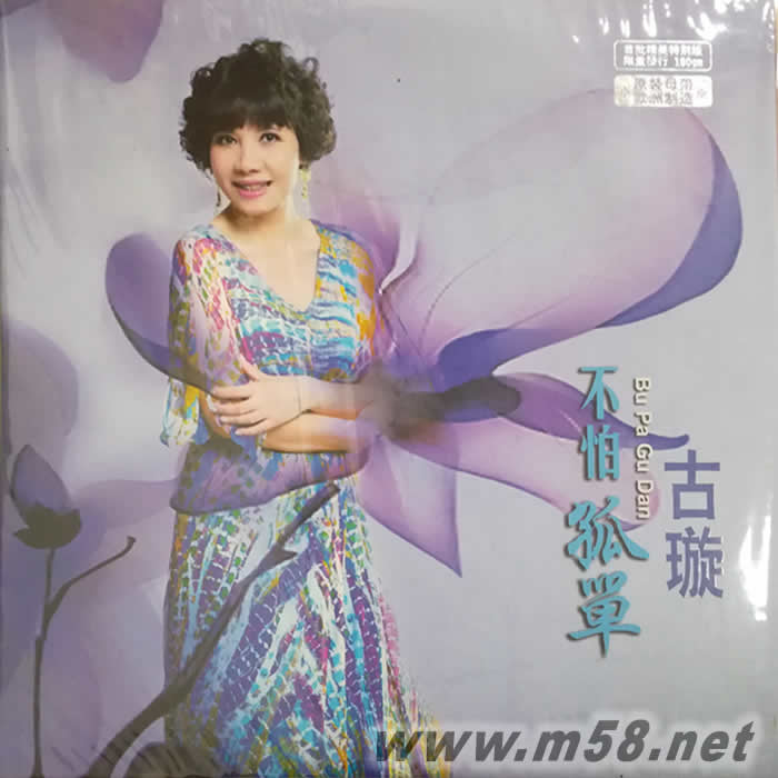 不怕孤單 180g 33RPM LP 黑膠專輯正面圖片