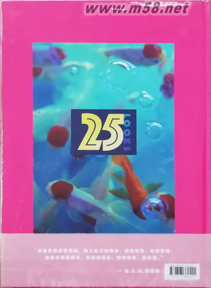 25LOOKS 寫真集專輯背面圖片