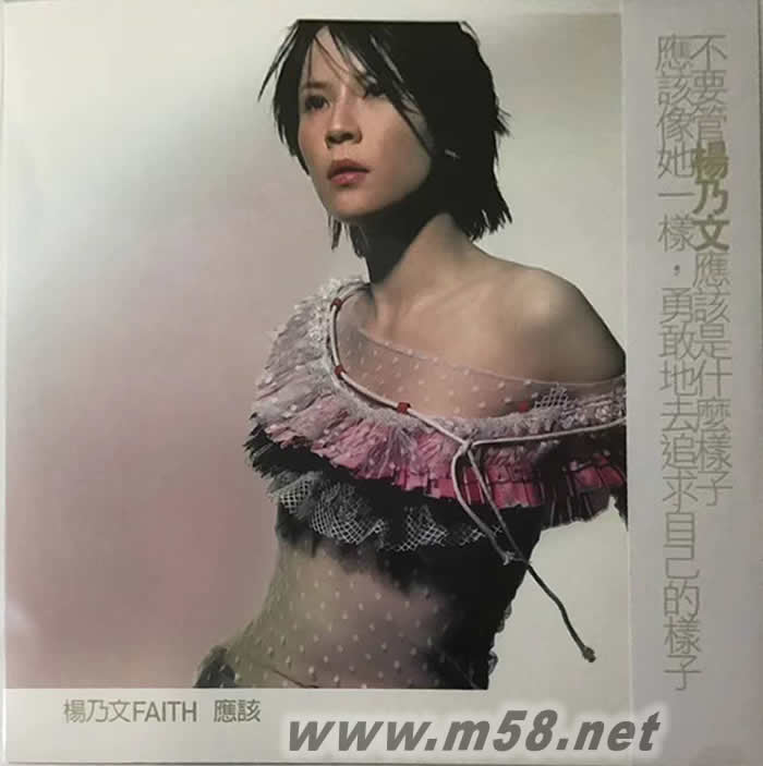 應該 黑膠專輯正面圖片