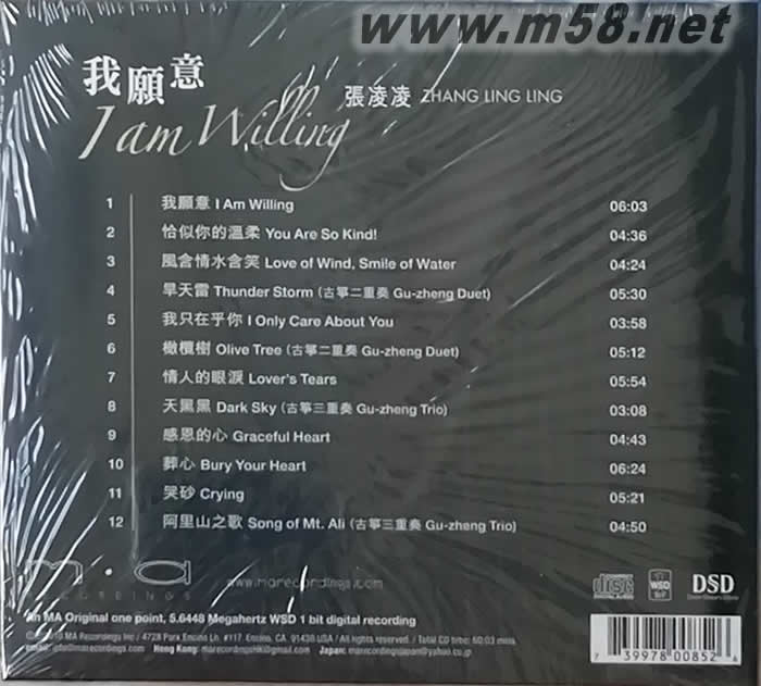 我愿意 張凌凌 女聲與古箏專輯背面圖片