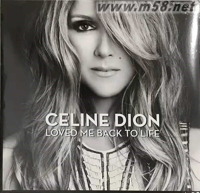 Loved Me Back To Life 黑膠專輯正面圖片