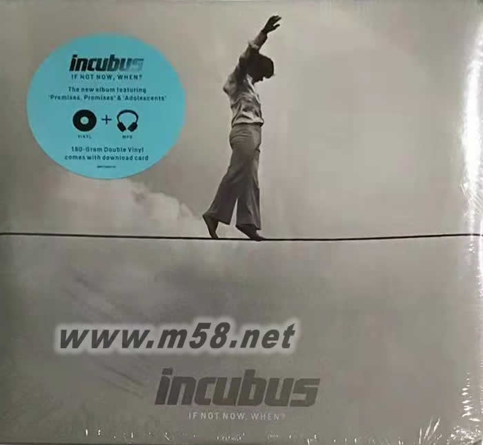 Incubus - If Not Now, When? 180g 33RPM LP 黑膠專輯正面圖片