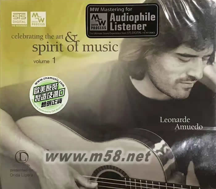 Celebrating the art & spirit of music volume 1 (吉他精髓)專輯正面圖片