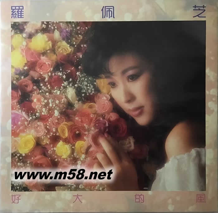 羅佩芝 好大的風(fēng) 黑膠專輯正面圖片