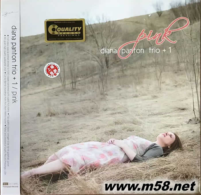 PINK 粉紅爵士 黑膠 限量版專輯正面圖片