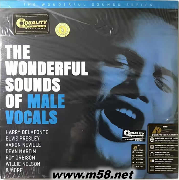 THE WONDERFUL SOUNDS OF MALE VOCALS 雙黑膠 限量版專輯正面圖片