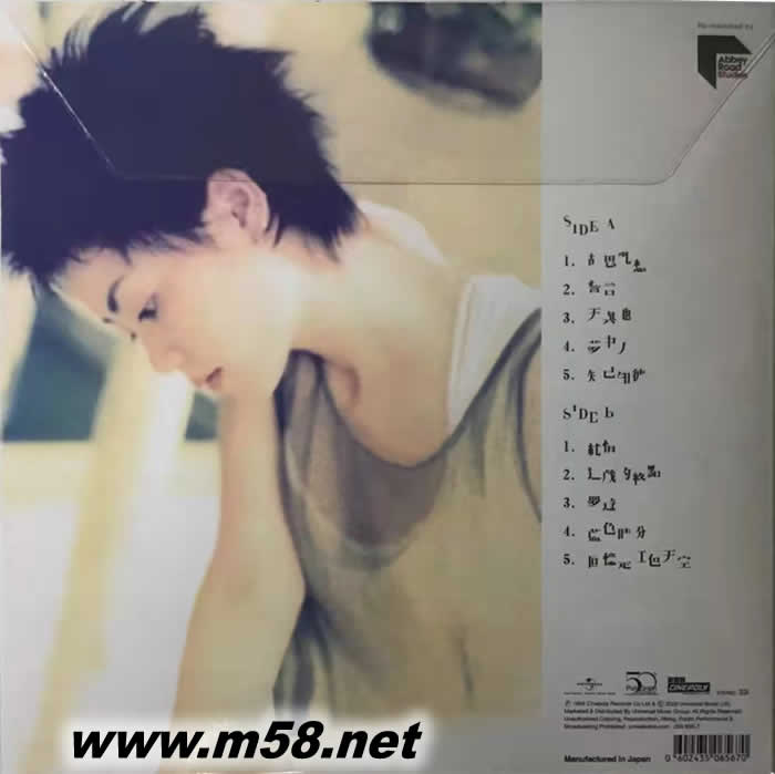 胡思亂想 黑膠 限量版專輯背面圖片