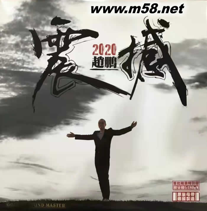 趙鵬 震撼2020 黑膠 限量版專輯正面圖片