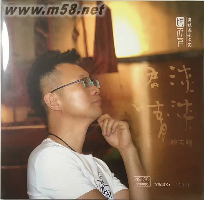 淡淡君情 黑膠專輯正面圖片