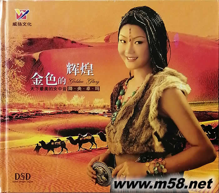 金色的輝煌專輯正面圖片