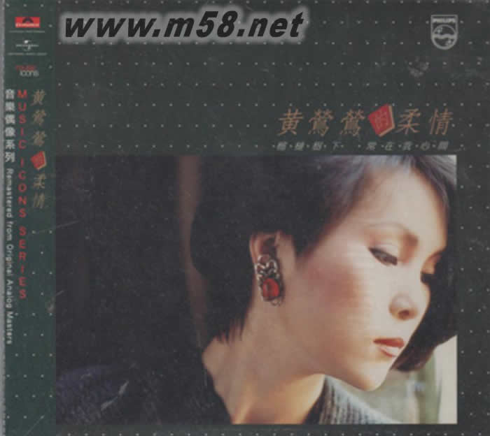 柔情專輯正面圖片