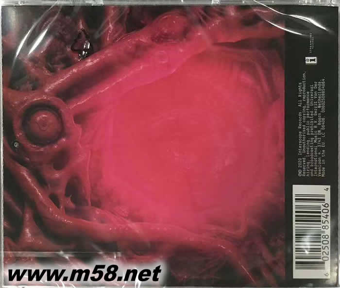 Chromatica專輯背面圖片