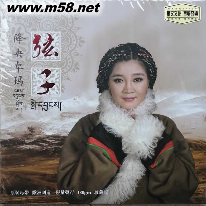 弦子 黑膠專輯正面圖片