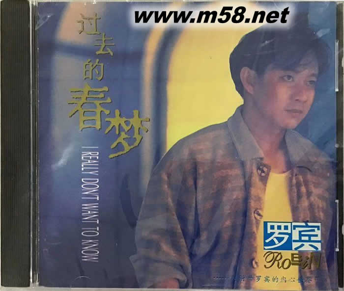 過去的春夢專輯正面圖片