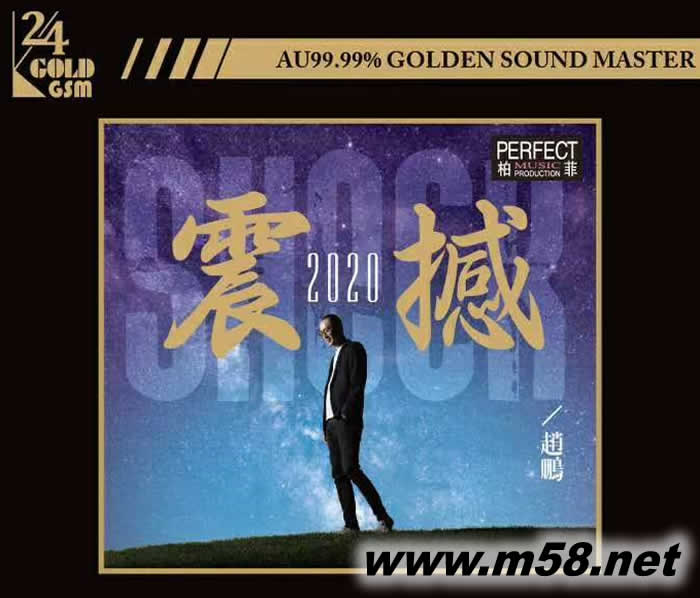 趙鵬 震撼2020 金碟 限量版專輯正面圖片