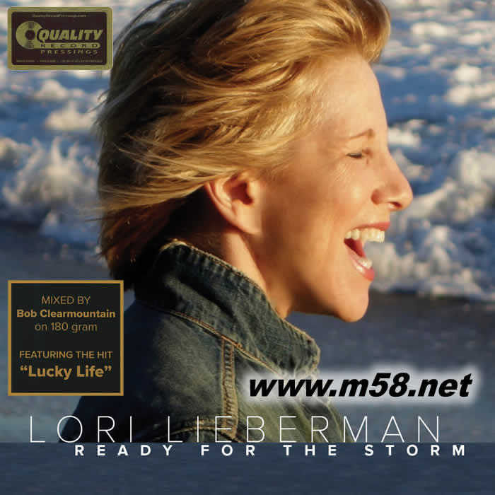 迎接風(fēng)暴 Ready for the Storm (民謠)雙 黑膠專輯正面圖片