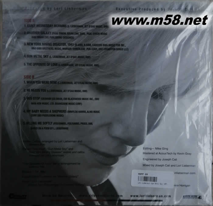 Gun Metal Sky(民謠) 黑膠專輯背面圖片