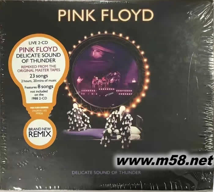 Delicate Sound of Thunder (Live 2CD)專輯正面圖片